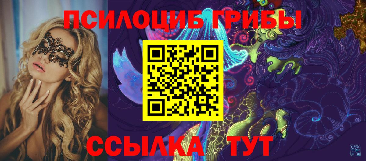Псилоцибиновые грибы Psilocybe Алексеевка