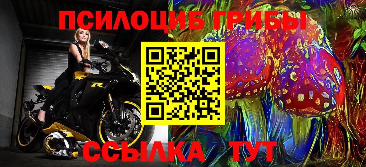 Алексеевка  Псилоцибиновые грибы мухоморы  Вход с VPN 